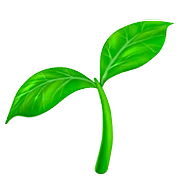 Herbs